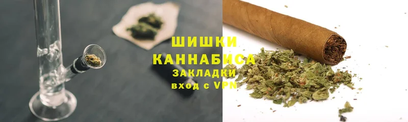 Конопля гибрид  Калязин 